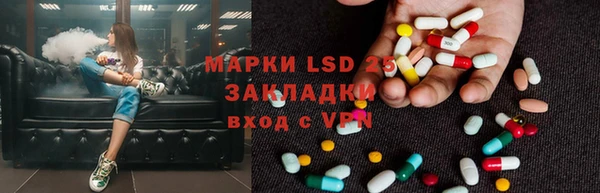 ПСИЛОЦИБИНОВЫЕ ГРИБЫ Аркадак
