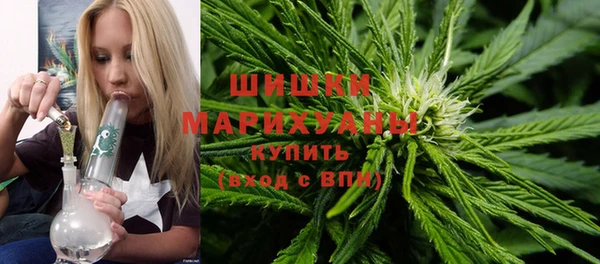 дживик Арсеньев